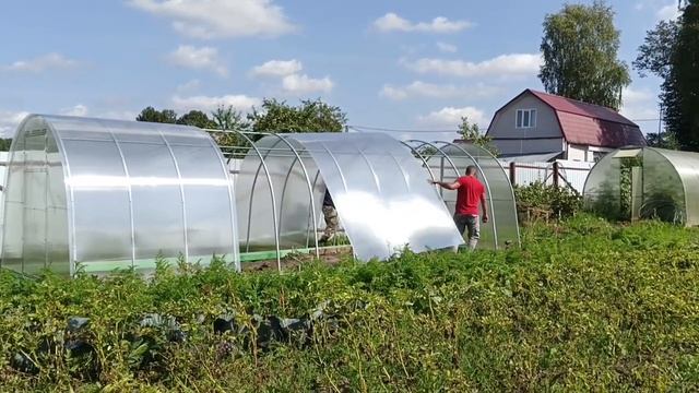 Индоутка в 5 месяцев / Временный дом для индоутки / Клуша бентамки /Хищники наступают! смотреть онлайн