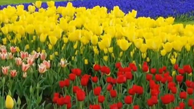 Осень жизни.wmv смотреть онлайн