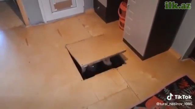 koronavirus mirt video 07 смотреть онлайн