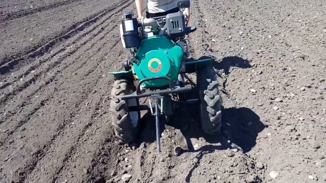 ПОСАДКА КАРТОФЕЛЯ  ПОД ПЛУГ МОТОБЛОКОМ смотреть онлайн