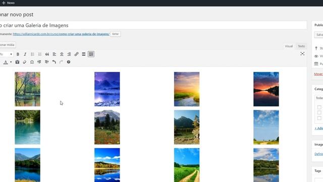 Como criar uma Galeria de Fotos Wordpress - Curso Fácil смотреть онлайн