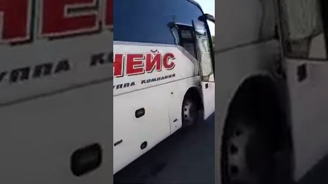 Голден Драгон 6957