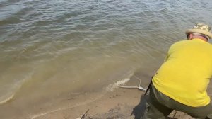 Рыбалка на Ахтубе! Сазан 2022.