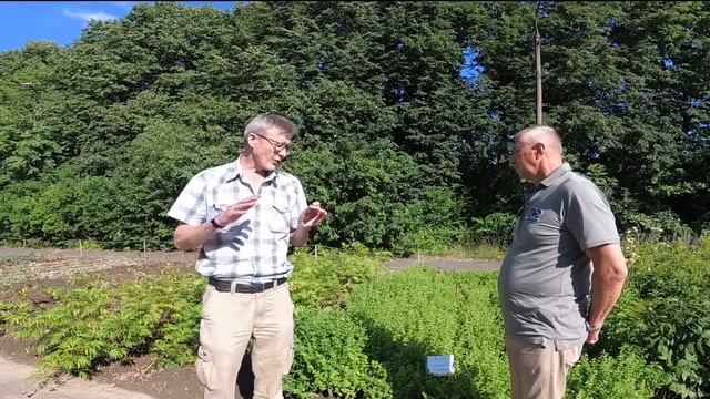 Лечебные травы - Мелиса - Валерьяна - Зверобой, интервью ЦИЦИЛИН АНДРЕЙ НИКОЛАЕВИЧ смотреть онлайн