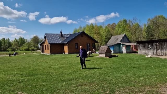 Хотели всех обмануть и выдать необычный день за свой обыкновенный. А получился праздник даже у овцы смотреть онлайн
