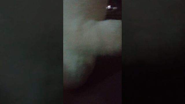 на день рождения в школе пришел медведь смотреть онлайн