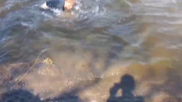 МАГНИТНАЯ РЫБАЛКА 3 - с новым оборудованием смотреть онлайн