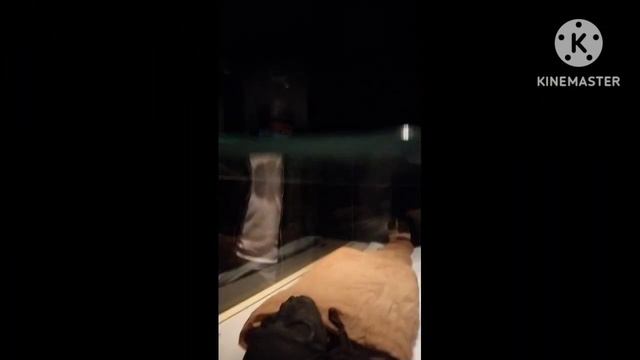 💯 real corpse of pharoh|असली फिरौन की लाश|first time video of real firon | Sirf mere channel per смотреть онлайн