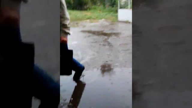 Покупаем энергетик,,gorrila" горилла смотреть онлайн