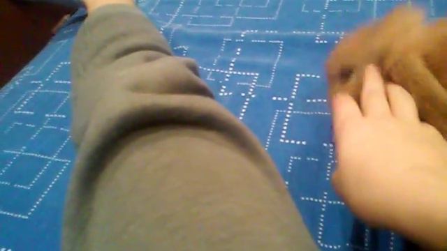 мой веслоухий кролик смотреть онлайн