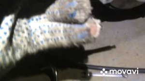 Скрип, свист со стороны заднего колеса, в чем причина? Ответ в ролике!