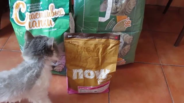 Покупки Февраль 2017 Магнит Petshop.ru Юлмарт смотреть онлайн