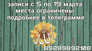 чтение корана||доктор Ахмад