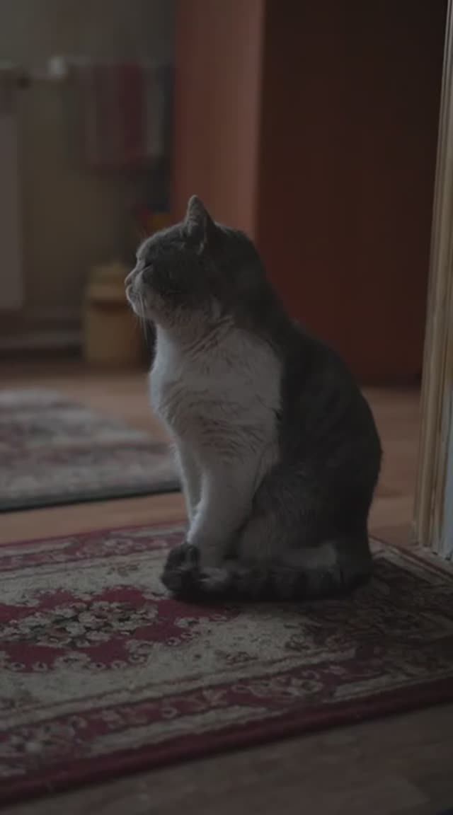 Больше 3 тыс. км проходит природный газ до станицы Старочеркасская, Ростовская область смотреть онлайн