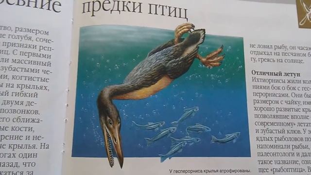 Предки птиц. смотреть онлайн