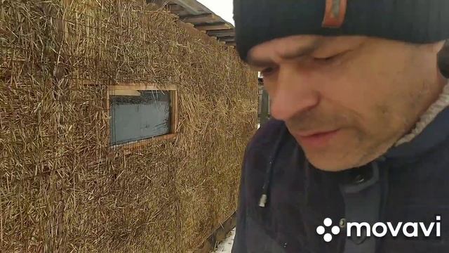 Шок сарай за 20000 на 45 КВ м . Обзор рассады .Поздравление к 8 марта . смотреть онлайн