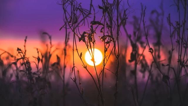 Melodic Progressive House mix Vol 96 (Sunset Melodies) смотреть онлайн