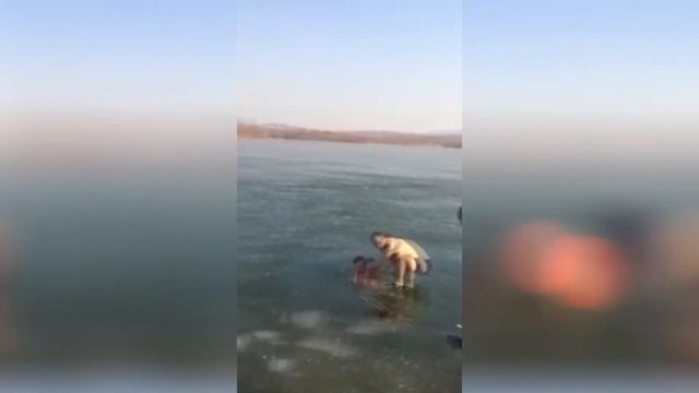 Китаец решил понтануться. Проплыть подо льдом!!!!! смотреть онлайн