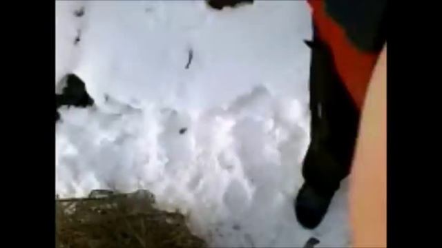 конец света для бориса смотреть онлайн