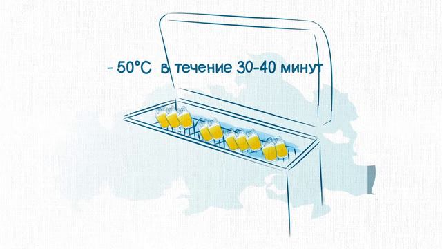 Что происходит с кровью после донации? смотреть онлайн