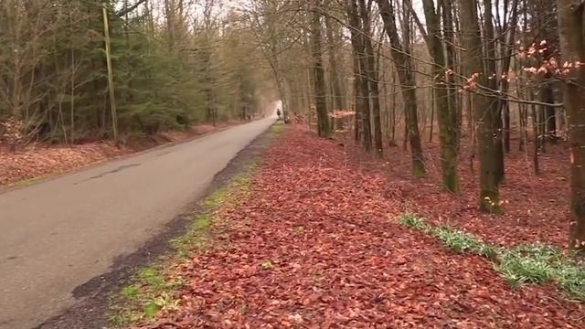 Subi el volumen!!! Porsche a fondo #porsche911 #porsche