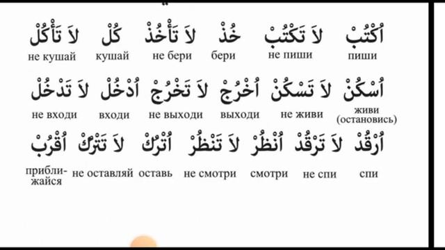 Дурус Аш-Шифахия урок 33 смотреть онлайн