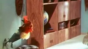 боцман и попугай 2