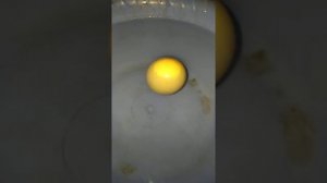 КАК ПРОВЕРИТЬ ЧТО ЦЫПЛЯТА В ЯЙЦЕ ЖИВЫ (позавчера должны были вылупиться)