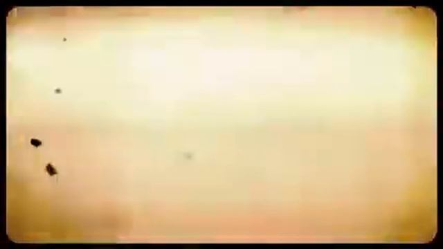 женские свитера из шерсти купить