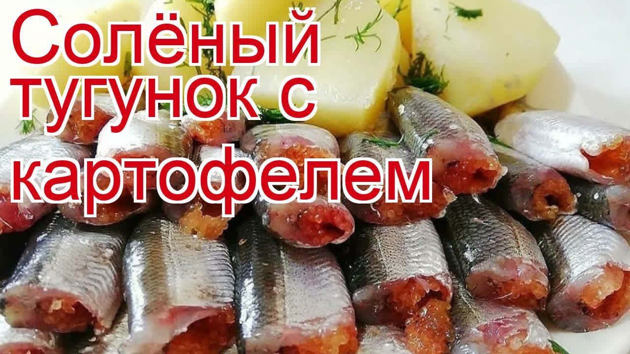 ДикоЕд - самая натуральная еда