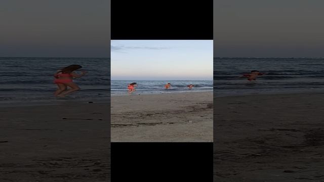 VID_20191017_173205 смотреть онлайн