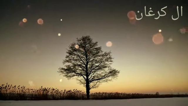 "Адыгэ хабзэр". Пщыгъуэтыж Алий. [Япэ 1ыхьэ] смотреть онлайн