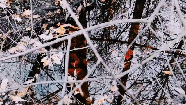 VID 20221116 005827 Кручёных 1921 (В. Хлебников)...Павел Васильев Лахтинский смотреть онлайн