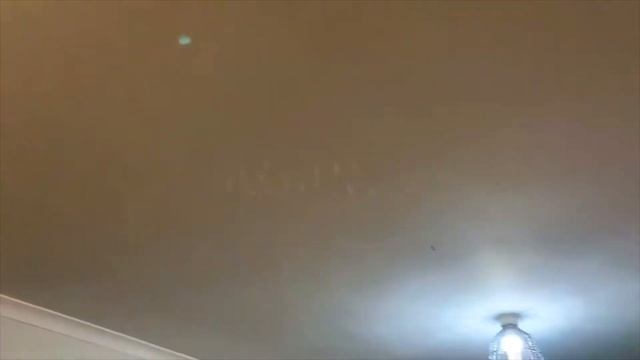 How 'yellow' is the KASA Smart Bulb? ? смотреть онлайн