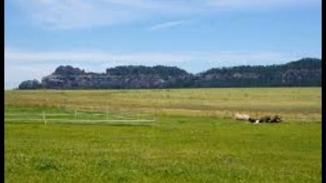 Прощание с Родиной. Стихи: И.Бродский, исп.: Т. Рехельс смотреть онлайн