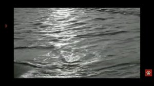 НЕ ЗАПУСКАЙ YOUTUBE В 3 ЧАСА НОЧИ