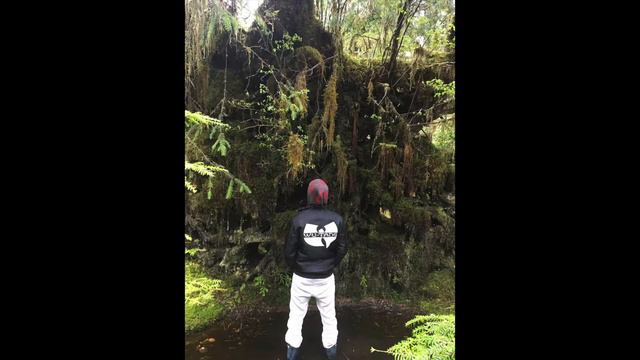 This old dead end job смотреть онлайн