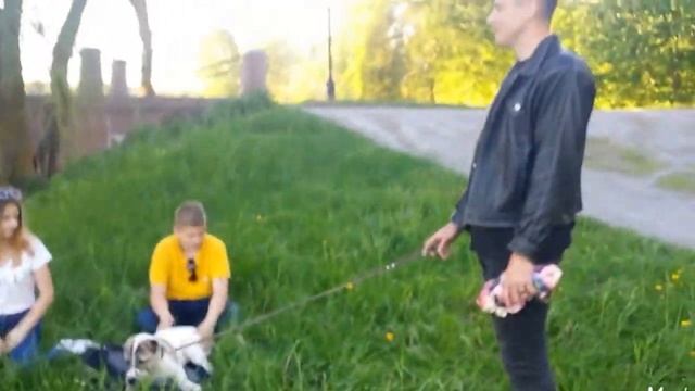 Алабай и дети. Алабаю 4 месяца. смотреть онлайн