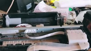 Epson L110 paper out or incorrect loading fix