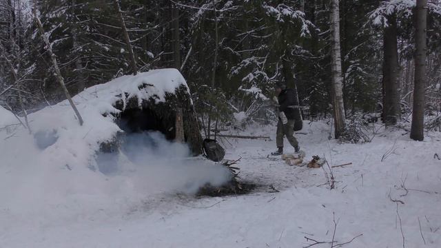 Survival In A Cold Wild Forest. Constructing Shelter To Protect Yourself From Snow And Wind . ASMR