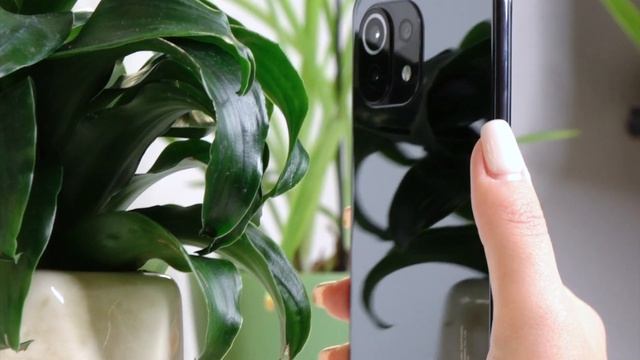 Mi 11 Lite vs Realme и POCO - обзор Ми 11 Лайт от XStore смотреть онлайн