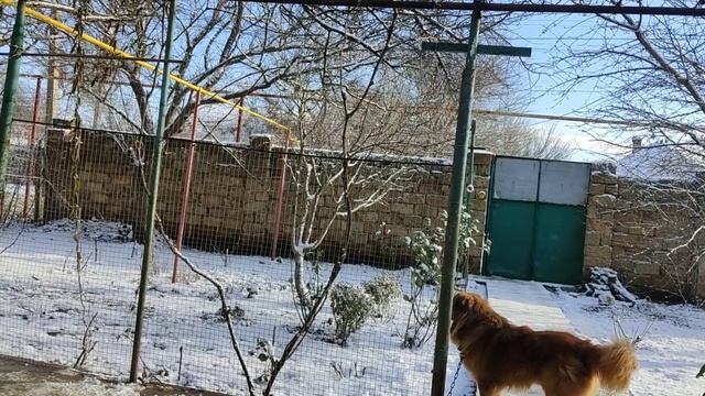 Доброе дело, странная и очень таинственная Галина Анатольевна, кто она??? смотреть онлайн
