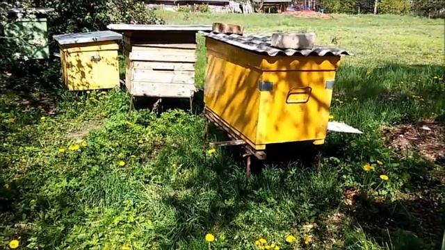 На даче - КАК ВЕСНОЙ НА ДАЧНОМ УЧАСТКЕ / Весенний обзор дачного участка / Дача / Дачник в плюс смотреть онлайн