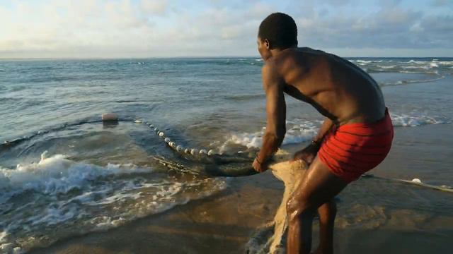 Ocean, People, Planet: Why We Must Protect Our Ocean смотреть онлайн