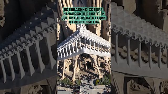 Саграда Фамилия. Самое красивое и сложное архитектурное сооружение современности. смотреть онлайн