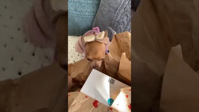 8 марта/Поздравляем всех смотреть онлайн