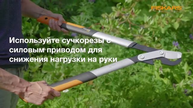 Как пользоваться сучкорезом? - Рекомендации от Fiskars смотреть онлайн