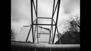 МЫ ТИПА ГРИБЫ            клип