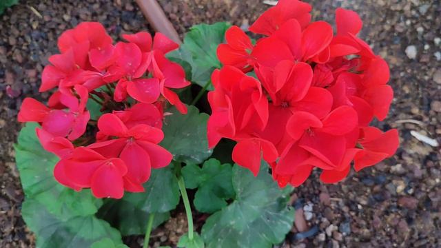 Good Morning 👍доброе утро 🌦️ בוקר טוב, Respect #sorts