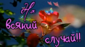 Пётр Сотник - На всякий случай!!